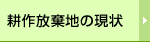 �k������n�̌���